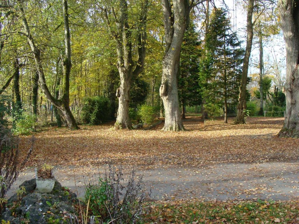 La Demi-Lune Bed and Breakfast Bailleval Buitenkant foto